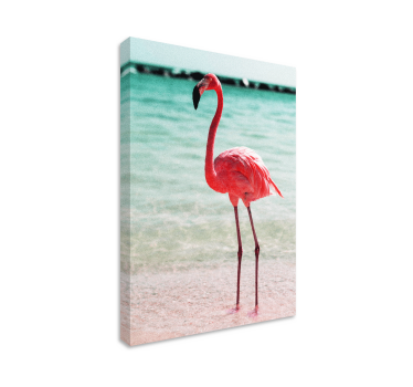 Slika na platnu ptica elegantan položaj flaminga - TenStickers