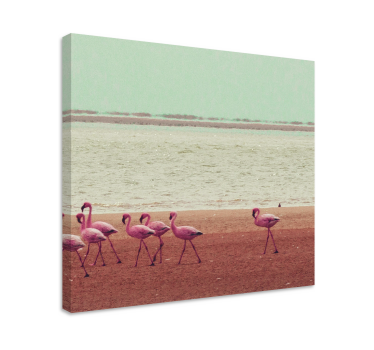 Slika na platnu ptica flamingosi uz vodu - TenStickers