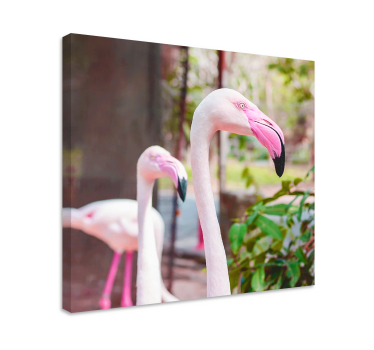 Slika na platnu ptica elegantni flamingosi zajedno - TenStickers