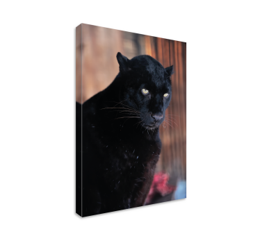 3d slike platna koje vreba leopard - TenStickers