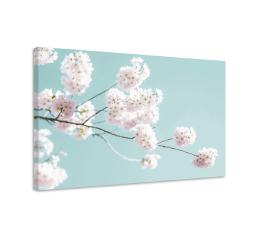 Slika na platnu cvijeće i biljke sakura cvijet stabljika - TenStickers