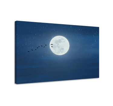3d platnene slike punog mjeseca i neba - TenStickers
