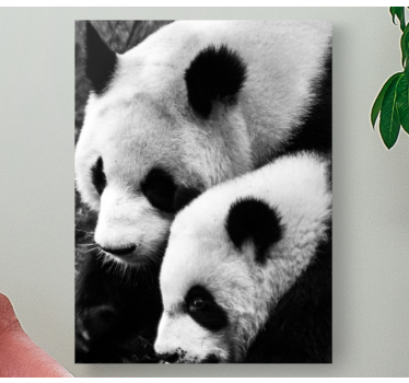 Slika na platnu životinje panda par u zagrljaju - TenStickers