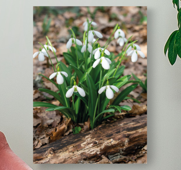 Snowdrops forrest krajolik dizajn cvjetno platno - TenStickers