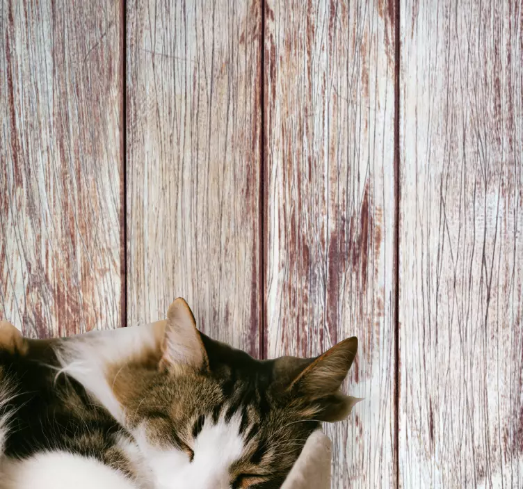 Naljepnice životinje sive drvene daske - TenStickers