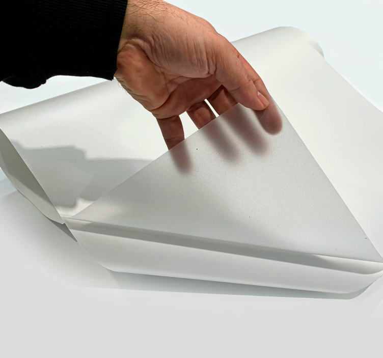 Naljepnice za prozorska stakla translucent osnovni - TenStickers