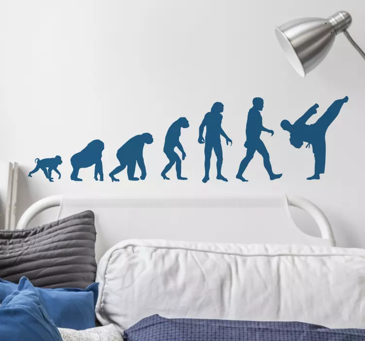 Karate evolucija karate - TenStickers