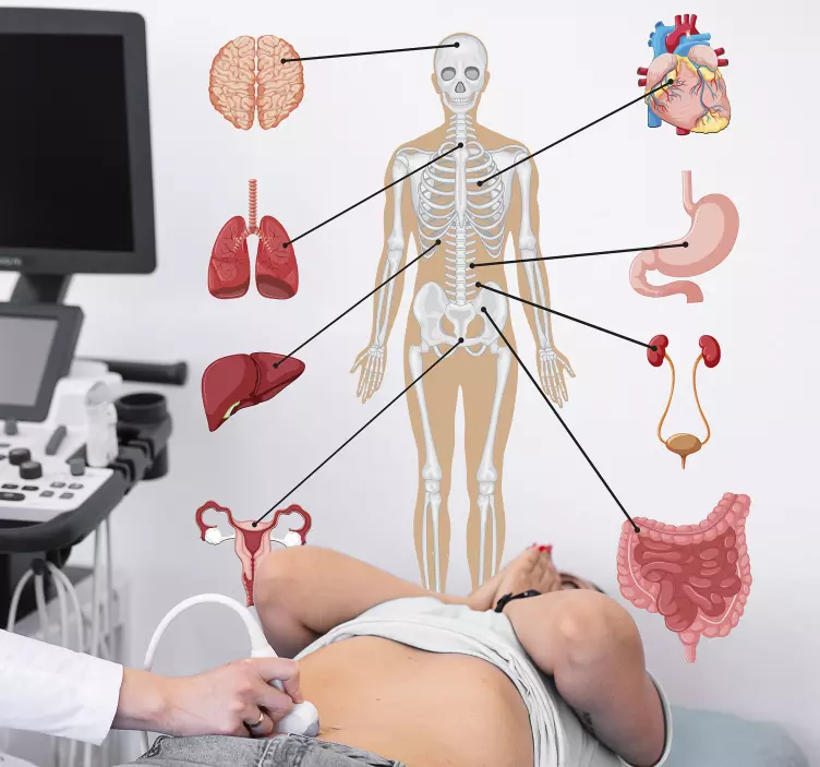 Naljepnica za medicinsku infografiku - TenStickers