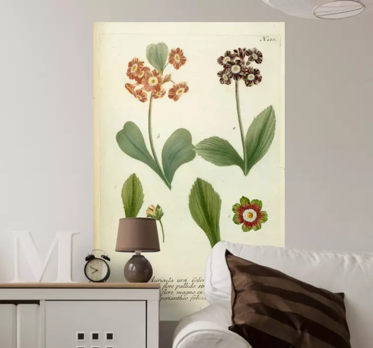 Naljepnica s ilustracijom cvijeta auricula - TenStickers
