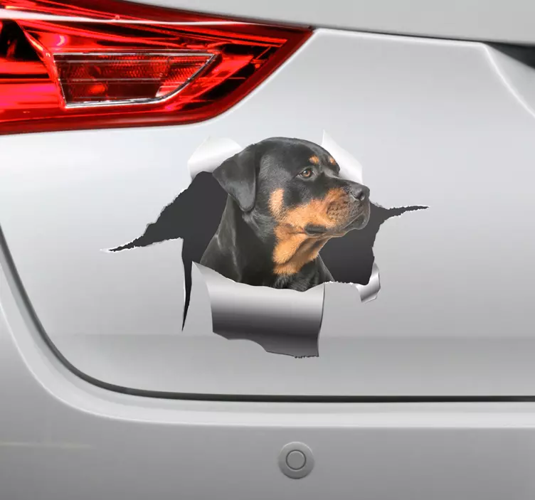 Rottweiller rupa naljepnica ljubimac naljepnica - TenStickers