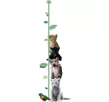 Grafikon visine velike mačke - TenStickers
