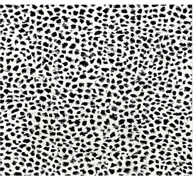 Vinil podovi blagovaonica monokromatski leopard print - TenStickers