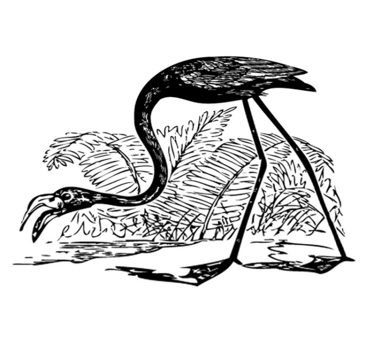 Vinil podovi životinja flamingo s paprati - TenStickers