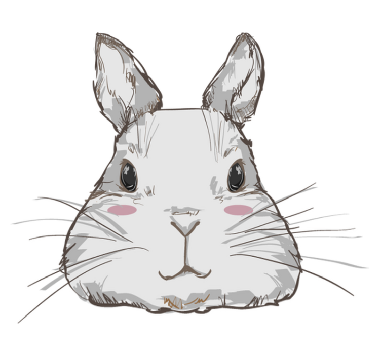 Vinil podovi životinja s simpatičnom glavom zeca - TenStickers