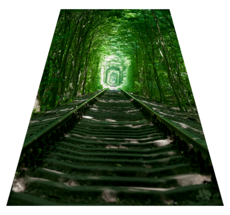 Vinil podovi cvijeće i biljke staze i drveće - TenStickers