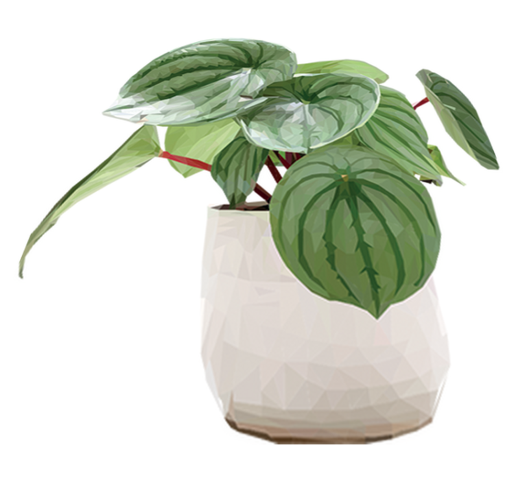 Vinil podovi cvijeće i biljke jednostavne kućne biljke - TenStickers