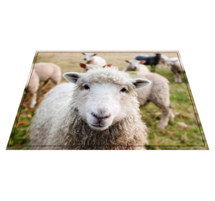 Vinil podovi životinja kovrčavo ovčje lice - TenStickers