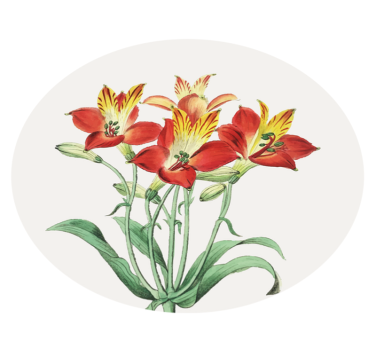 Vinil podovi cvijeće i biljke živahni crveni cvjetovi - TenStickers