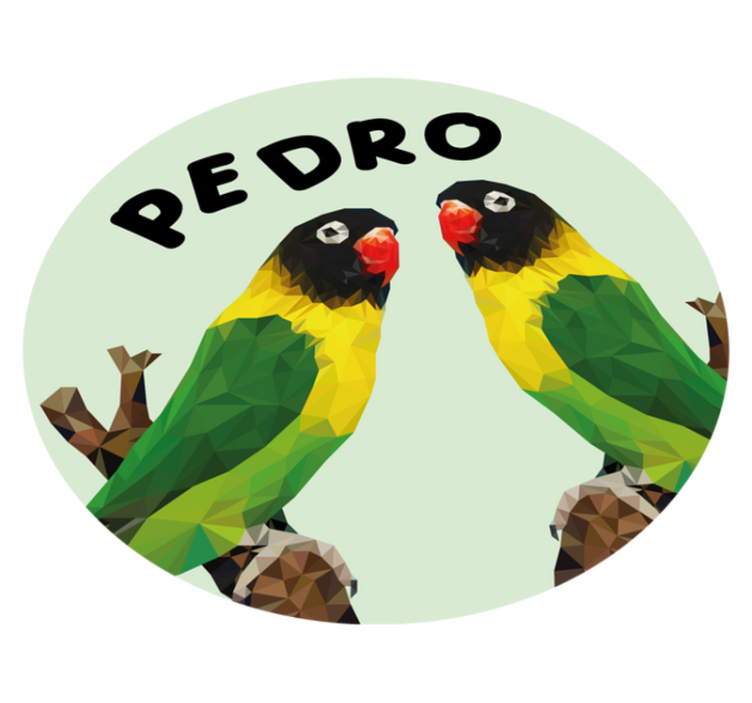 Vinil podovi s imenima prilagodljive golupčiće - TenStickers