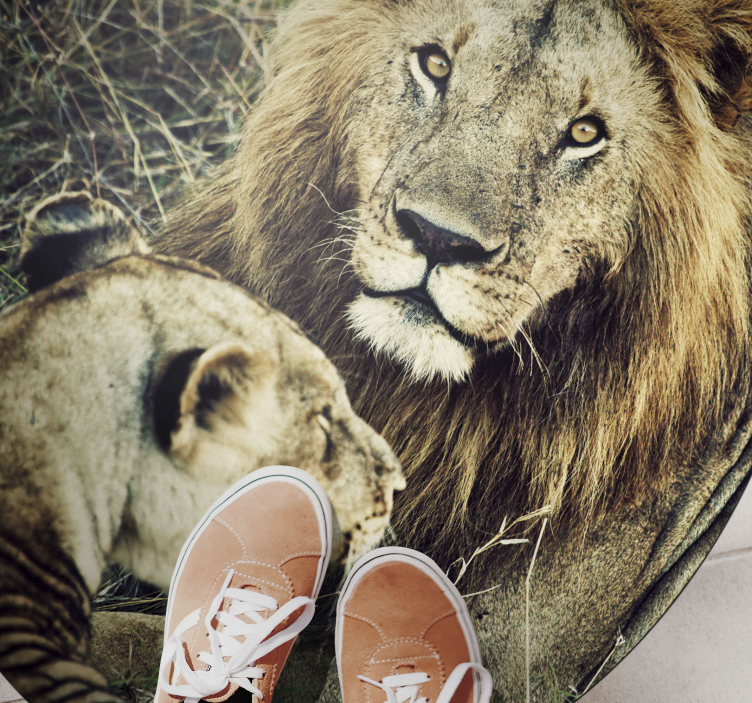 Lav i lavica životinjski sag - TenStickers