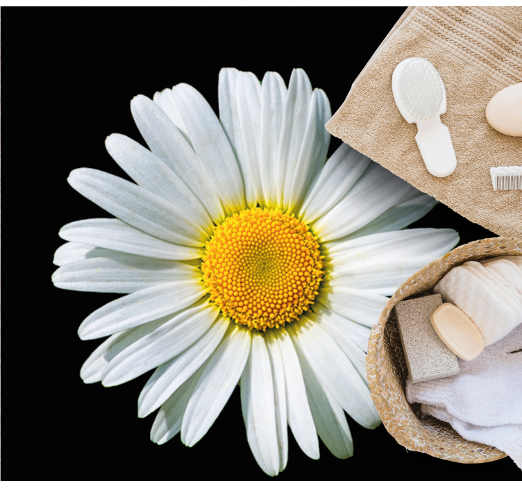 Vinil podovi cvijeće i biljke cvijet tratinčice - TenStickers