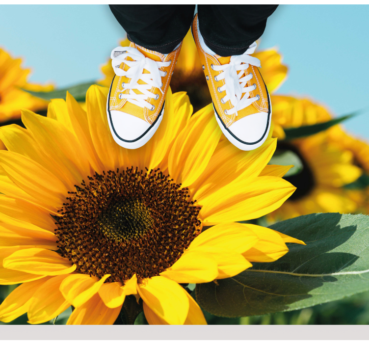 Vinil podovi cvijeće i biljke svijetli dizajn suncokreta - TenStickers