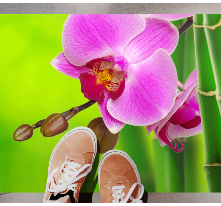 Vinil podovi cvijeće i biljke užitak cvjetova orhideje - TenStickers