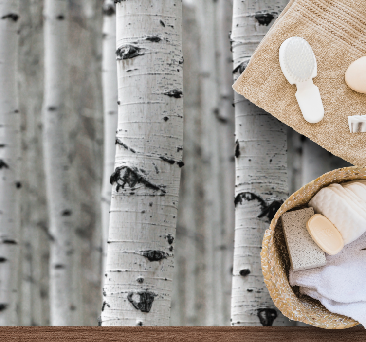 Vinil podovi priroda šuma breze - TenStickers