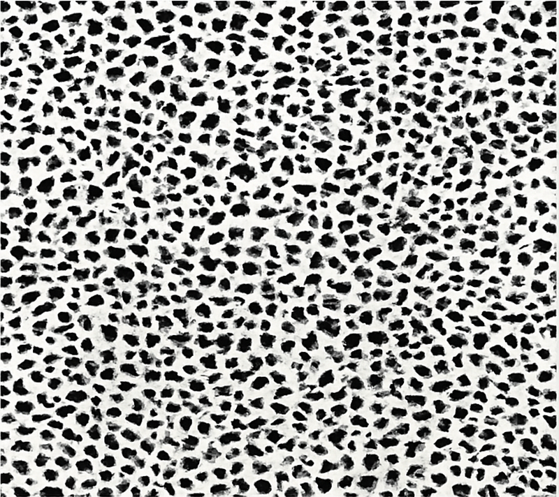 Vinil podovi blagovaonica monokromatski leopard print - TenStickers