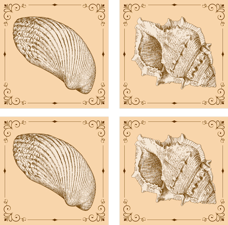 Vinil podovi životinja vintage školjke - TenStickers