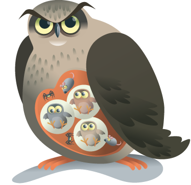 Vinil podovi životinja majka sova - TenStickers