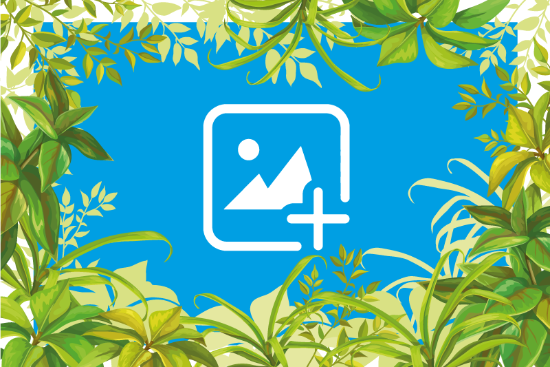 Vinil podovi životinja mačka među zelenilom - TenStickers