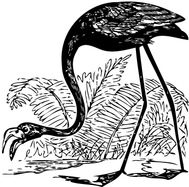 Vinil podovi životinja flamingo s paprati - TenStickers