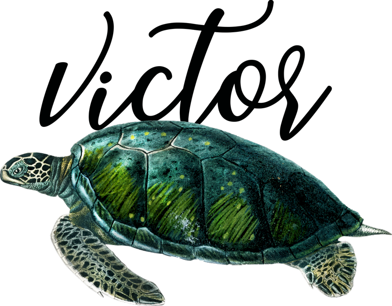 Vinil podovi životinja s prilagodljivim dizajnom kornjače - TenStickers