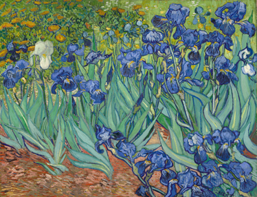 Vinil podovi cvijeće i biljke van gogh cvijeće - TenStickers