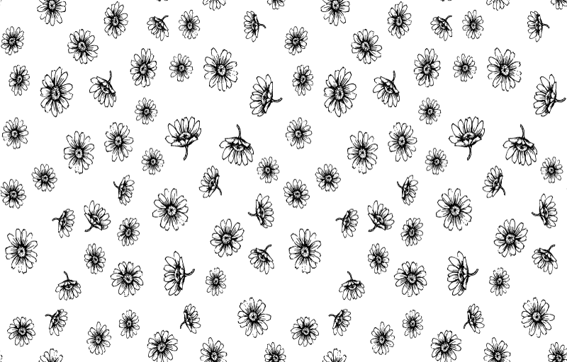 Vinil podovi cvijeće i biljke set kontura tratinčica - TenStickers