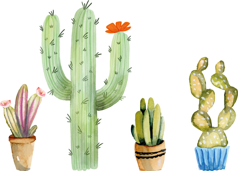 Vinil podovi blagovaonica set raznih kaktusa - TenStickers