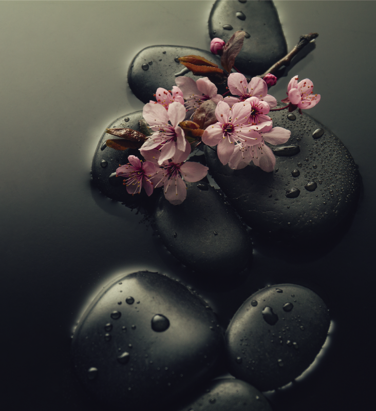 Vinil podovi priroda zen ambijent s kamenom za wc - TenStickers