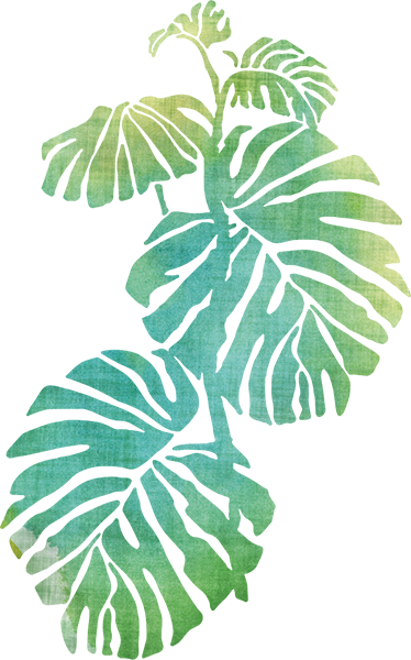 Vinil podovi cvijeće i biljke biljka švicarski sir - TenStickers