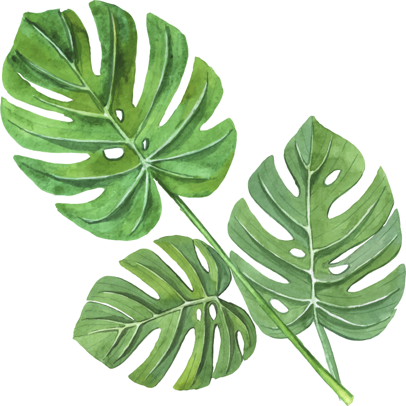 Vinil podovi cvijeće i biljke monstera akvarel listovi - TenStickers