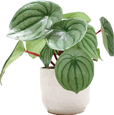 Vinil podovi cvijeće i biljke jednostavne kućne biljke - TenStickers