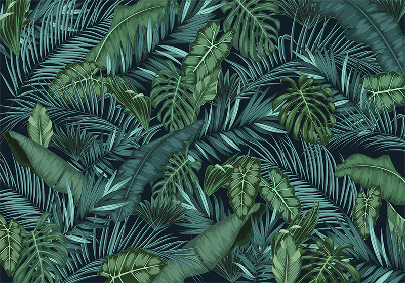 Vinil podovi zelena jungle fototapeta - TenStickers