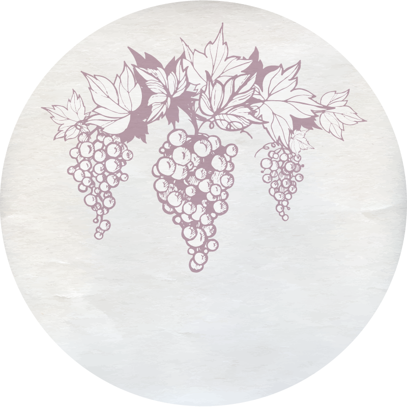 Vinil podovi cvijeće i biljke botanički amblem grožđa - TenStickers