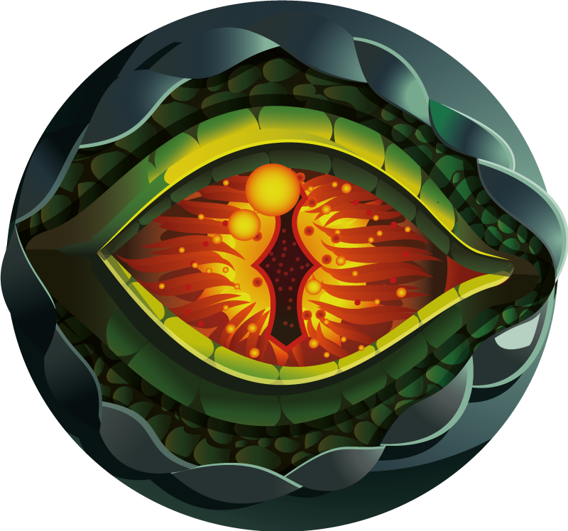 Vinil podovi priroda apstraktna priroda oko - TenStickers