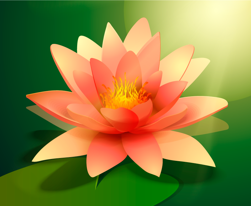 Lotos sa sjenovitim cvjetnim vinil tepihom - TenStickers