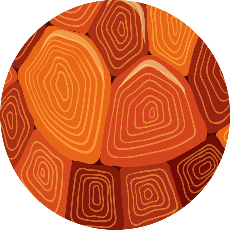 Kornjača kućni print životinjski print vinil tepih - TenStickers