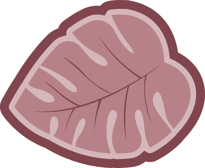 Vinil podovi cvijeće i biljke botanički oblik lista - TenStickers