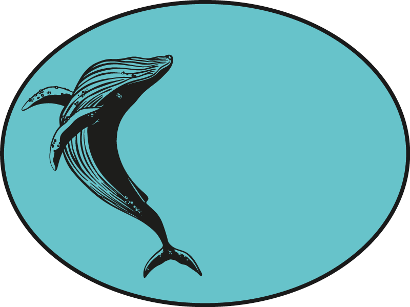 Vinil podovi životinja motiv veličanstvenog kita - TenStickers