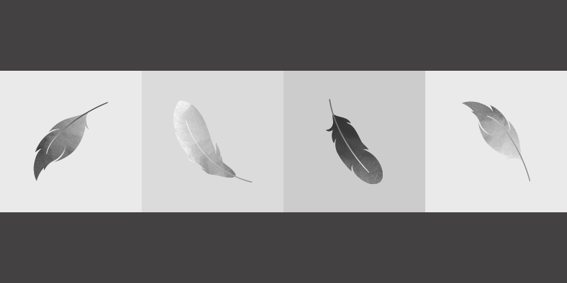 Vinil podovi životinja minimalizam perja - TenStickers