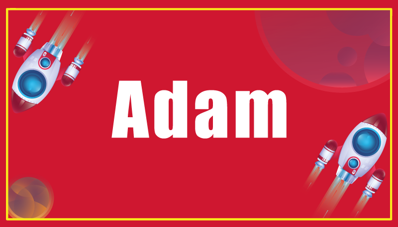 Drugi vinil podovi raketa s prilagođenim imenom - TenStickers